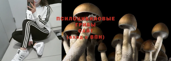 гидропоника Россошь