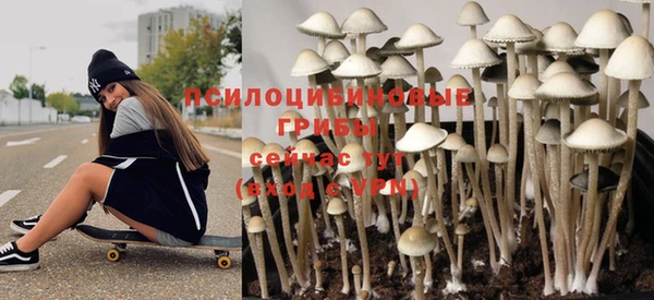 гидропоника Россошь