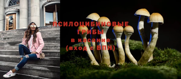 кокс Ростов