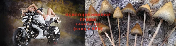 гидропоника Россошь