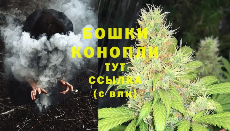 Канабис LSD WEED  это формула  Отрадная  купить наркотик 